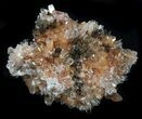 Creedite Crystal Cluster - Durango, Mexico #34301-1